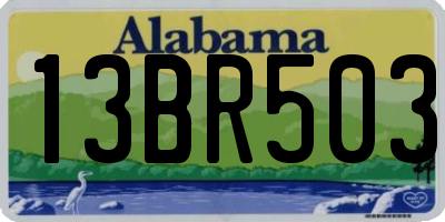 AL license plate 13BR503