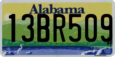 AL license plate 13BR509