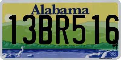 AL license plate 13BR516