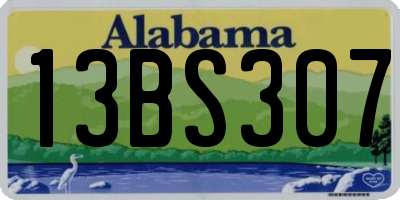 AL license plate 13BS307