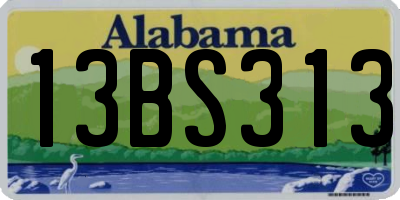 AL license plate 13BS313