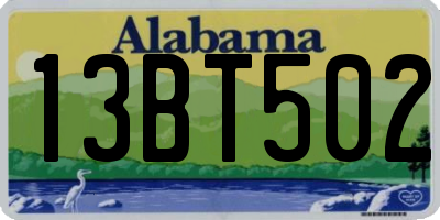 AL license plate 13BT502