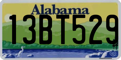 AL license plate 13BT529