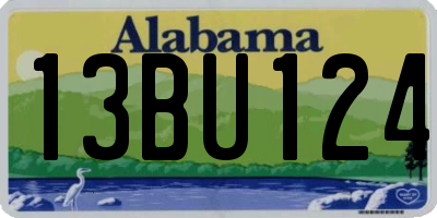 AL license plate 13BU124