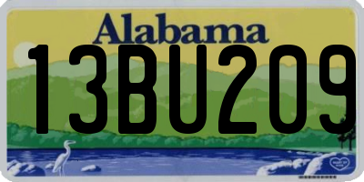 AL license plate 13BU209