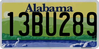 AL license plate 13BU289