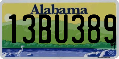 AL license plate 13BU389