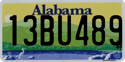 AL license plate 13BU489