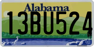 AL license plate 13BU524