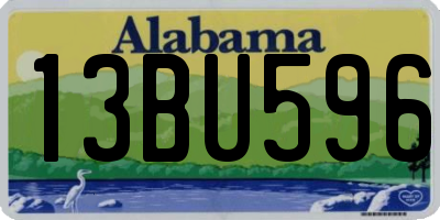 AL license plate 13BU596