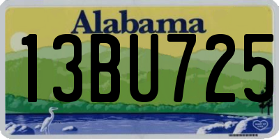 AL license plate 13BU725