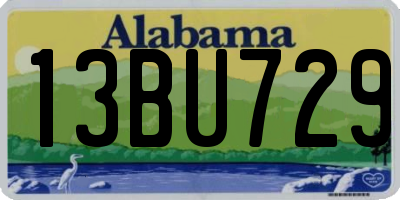 AL license plate 13BU729