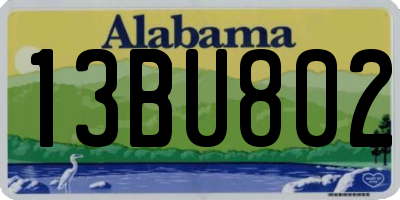 AL license plate 13BU802