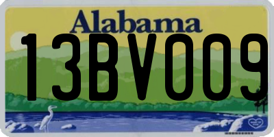 AL license plate 13BV009