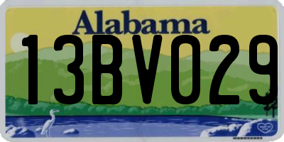 AL license plate 13BV029