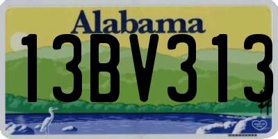 AL license plate 13BV313