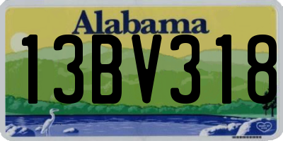 AL license plate 13BV318