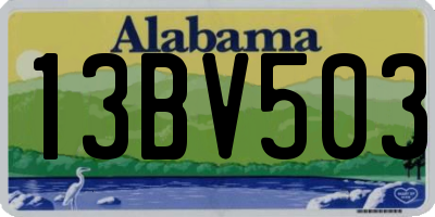 AL license plate 13BV503