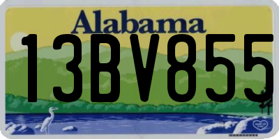 AL license plate 13BV855