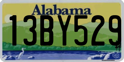AL license plate 13BY529