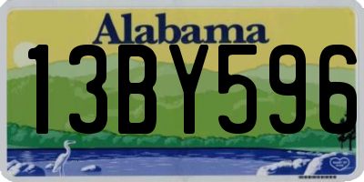 AL license plate 13BY596