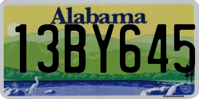AL license plate 13BY645