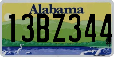AL license plate 13BZ344