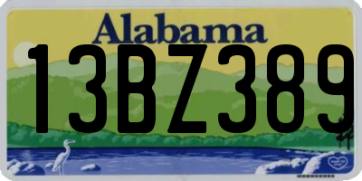 AL license plate 13BZ389