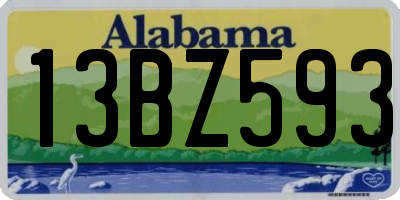 AL license plate 13BZ593