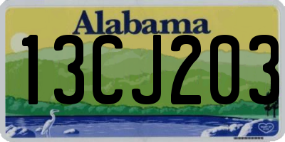 AL license plate 13CJ203