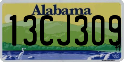 AL license plate 13CJ309