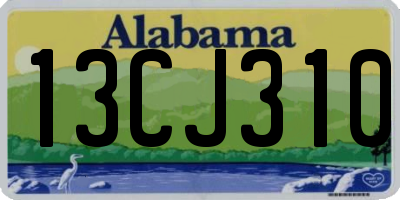 AL license plate 13CJ310