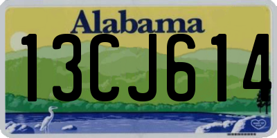 AL license plate 13CJ614