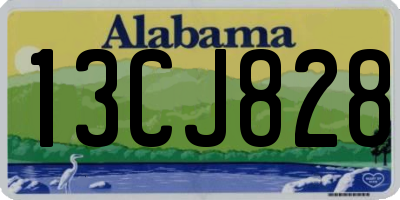 AL license plate 13CJ828