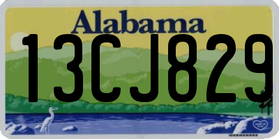 AL license plate 13CJ829