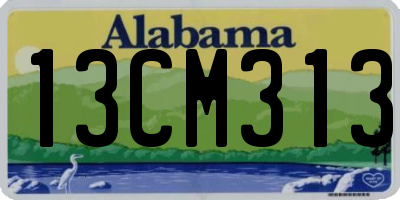AL license plate 13CM313