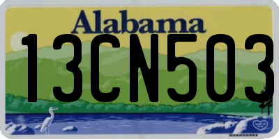 AL license plate 13CN503