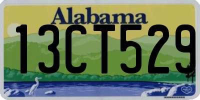 AL license plate 13CT529