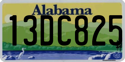 AL license plate 13DC825