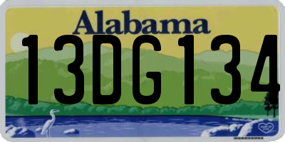 AL license plate 13DG134