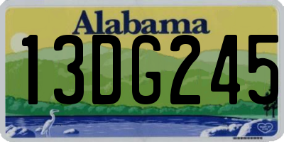AL license plate 13DG245