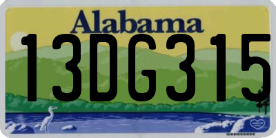 AL license plate 13DG315