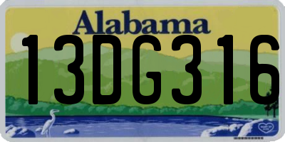 AL license plate 13DG316