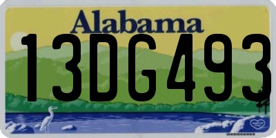 AL license plate 13DG493