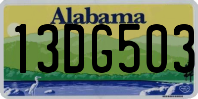AL license plate 13DG503