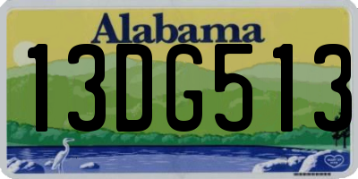 AL license plate 13DG513