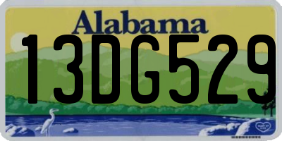 AL license plate 13DG529