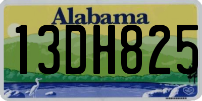 AL license plate 13DH825