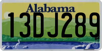 AL license plate 13DJ289