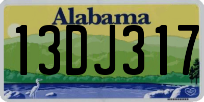 AL license plate 13DJ317